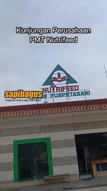Konsentrat-Nutrifeed